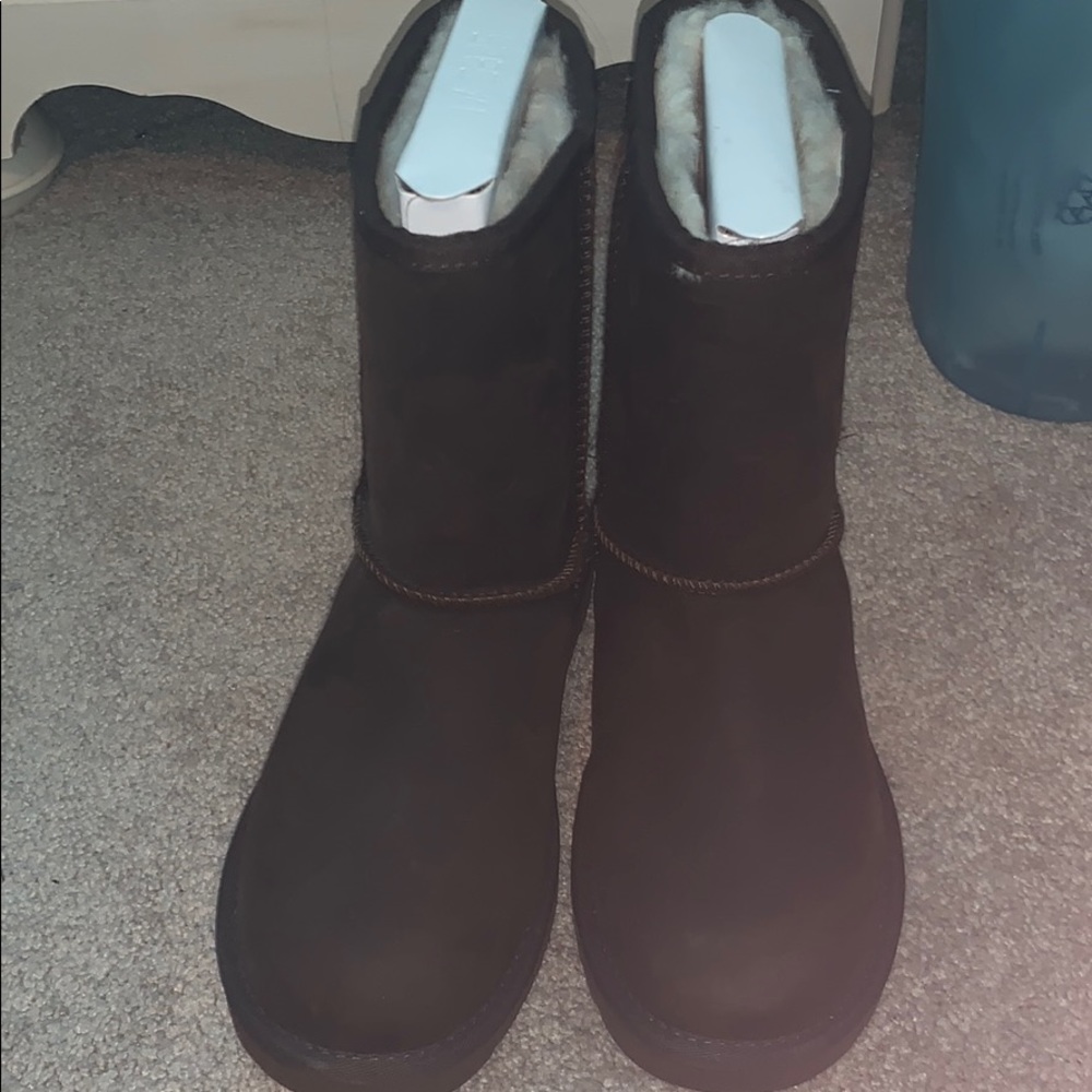 New brown uggs
